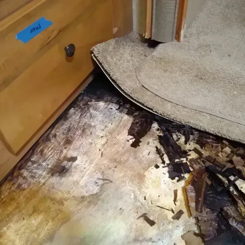 Best Wood Floor Water Damage Service in Farmington, AR